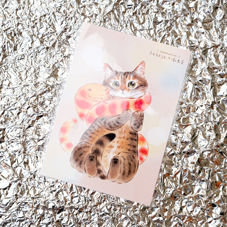 補補貓‧大衛煮愛｜明信片｜溫暖的蛇圍巾