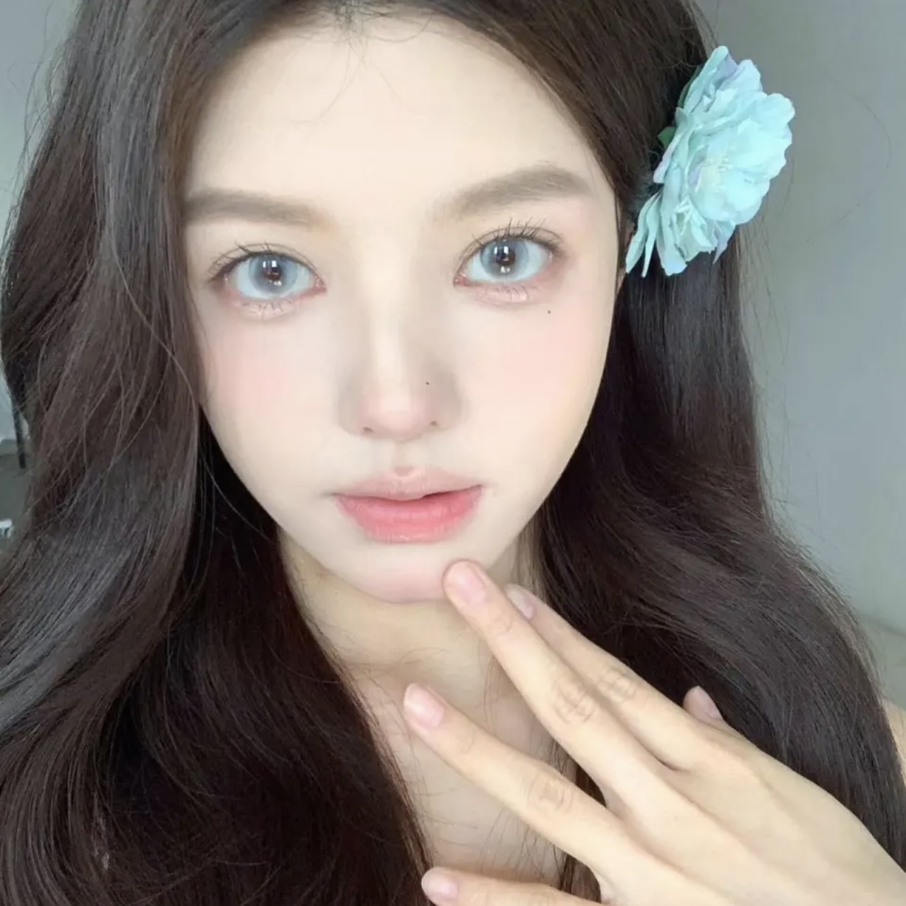 Wonderis - Swan Gray - 1/2Year - 1Piece