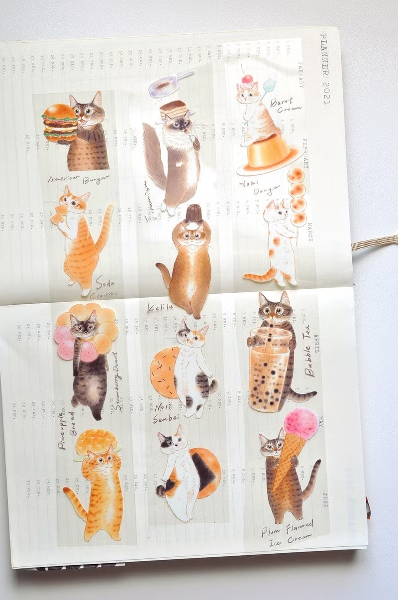 補補貓‧大衛煮愛｜PET紙膠帶｜咖啡色系的滋味