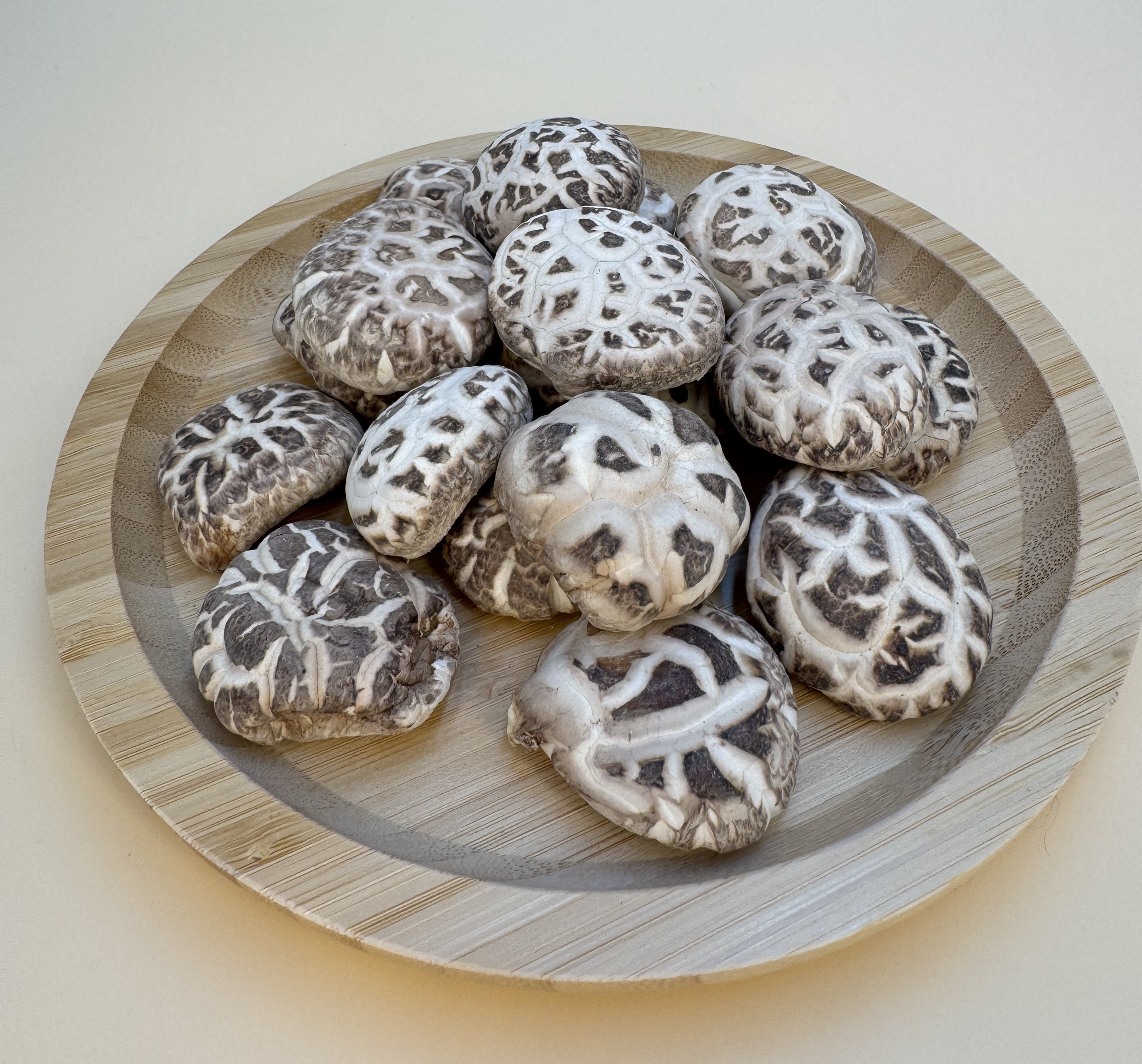 浙江天白花小香菇 (原木菇)