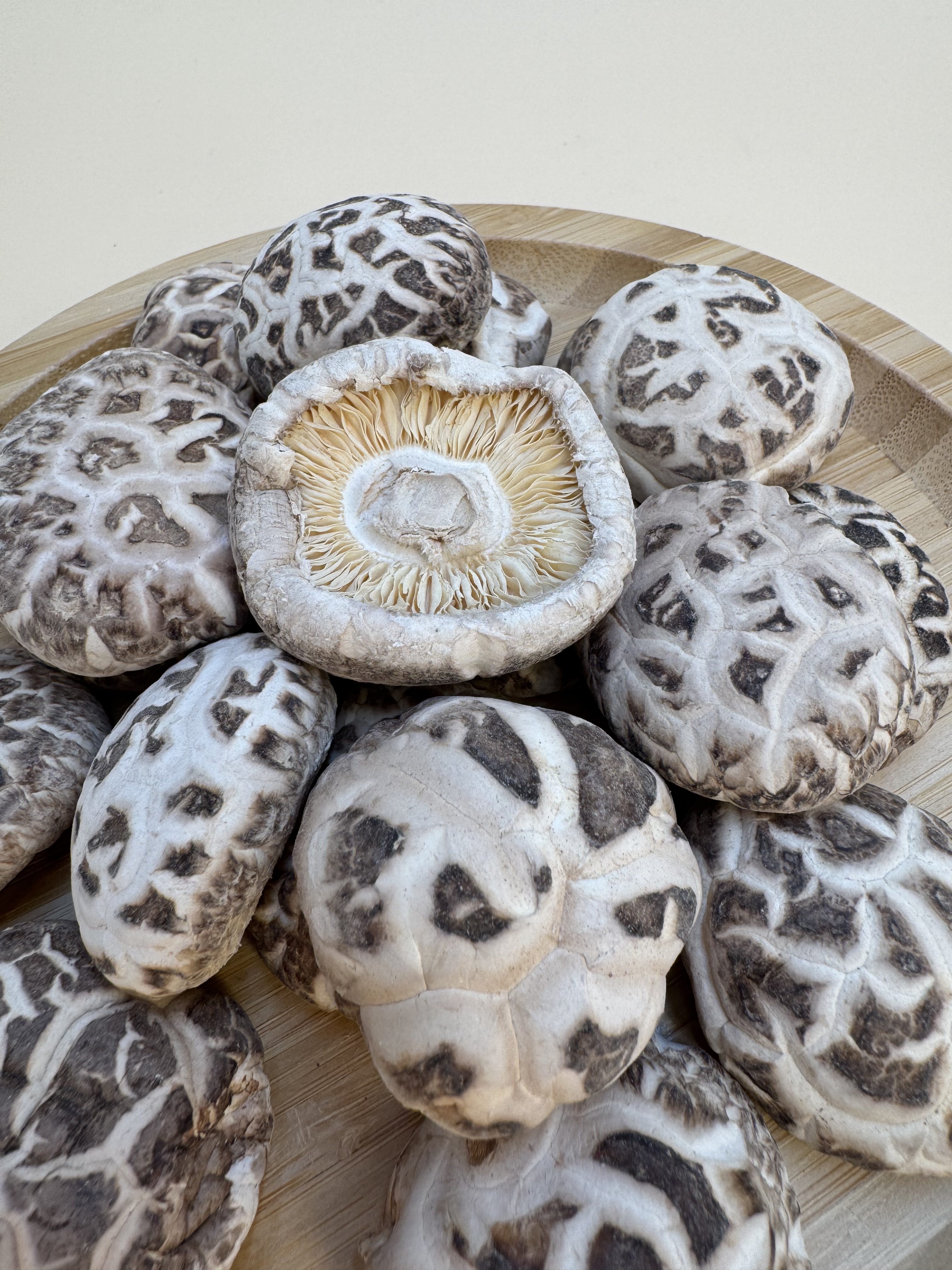 浙江天白花小香菇 (原木菇)