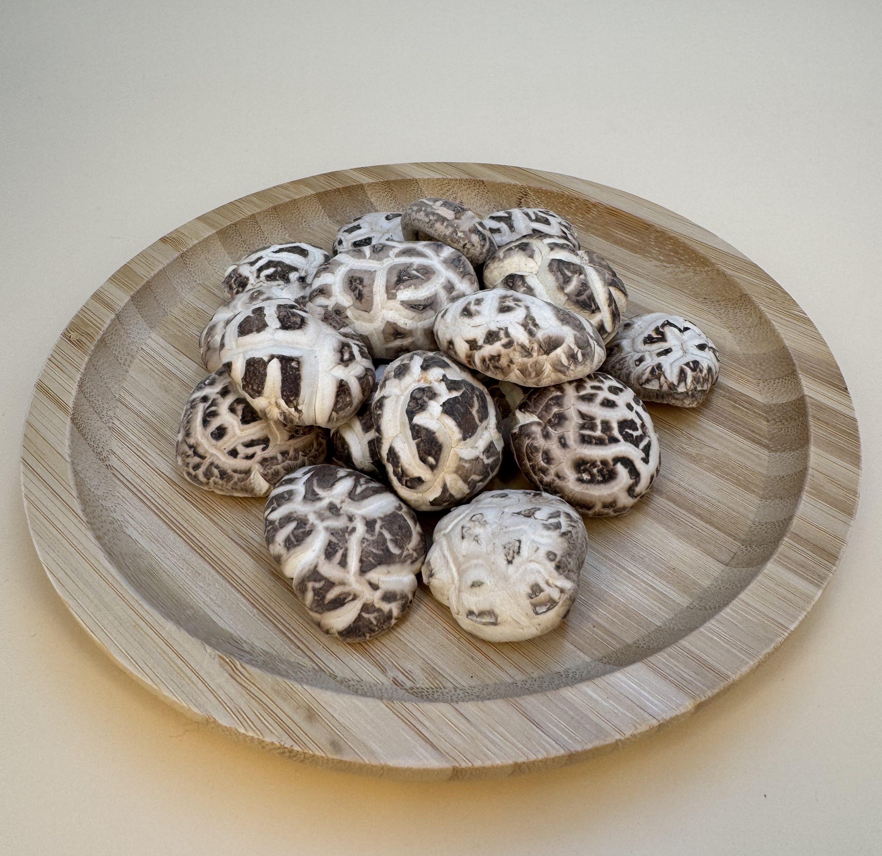 浙江天白花中香菇  (原木菇)