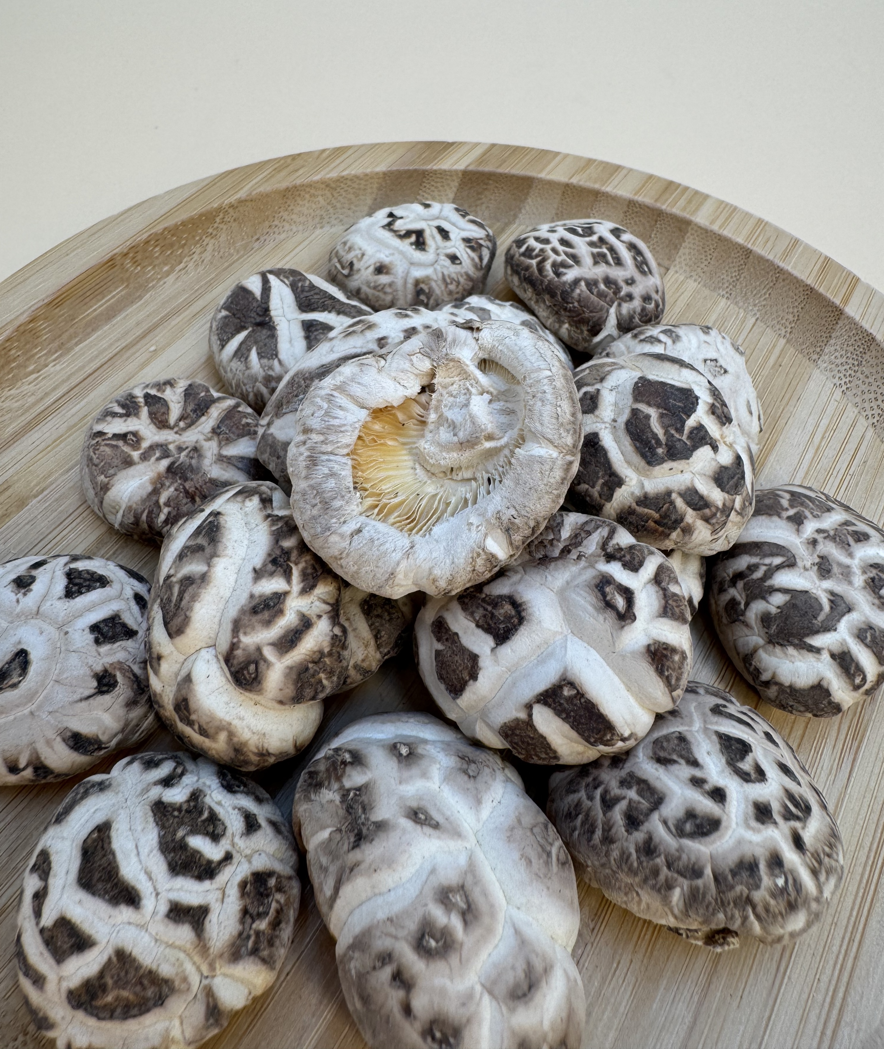 浙江天白花中香菇  (原木菇)