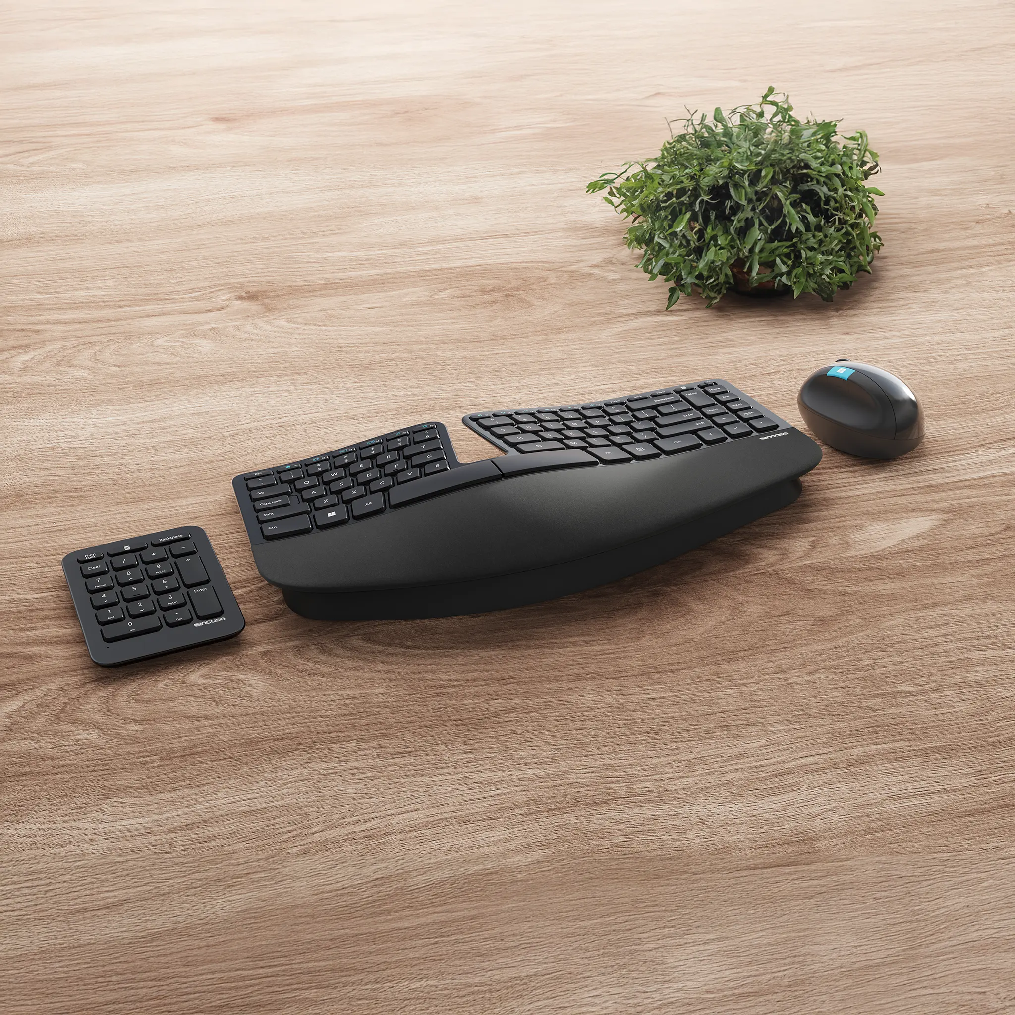 INCASE Sculpt Ergonomic Desktop Designed by Microsoft L5V-00001