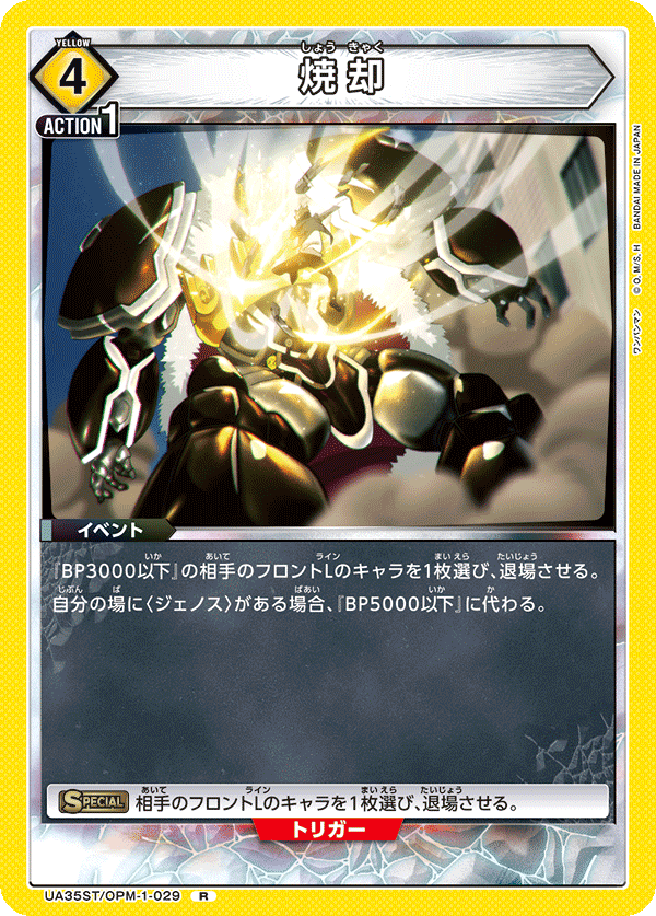 UA35ST/OPM-1-029 焼却