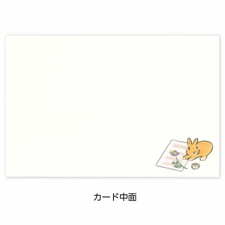 日本 插畫家 森山標子 迷你賀卡 生日卡 -鋼琴