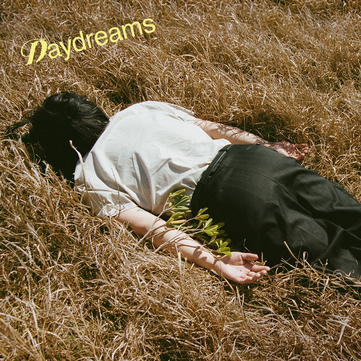Michael Kaneko《Daydreams》（2CD限定版）