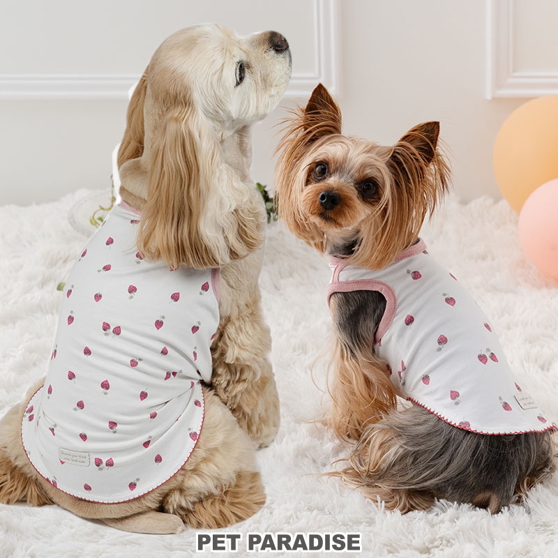 [Pet Paradise] Cotton Top <91835144>