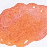 011 曙暮光 (有粉) 墨事典系列 手作墨水 30ml ｜墨事典 臺灣