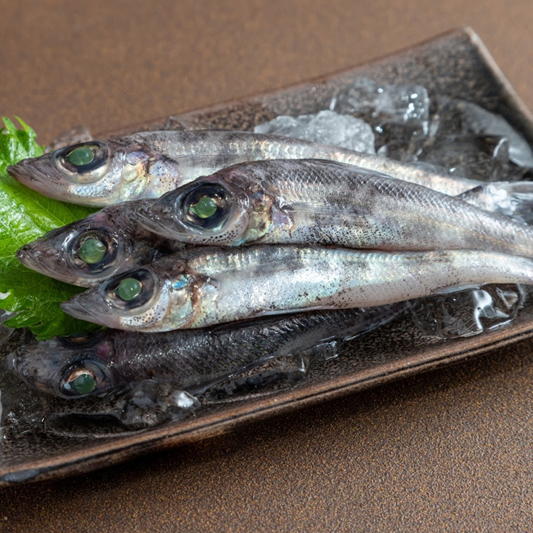 目光魚メヒカリ