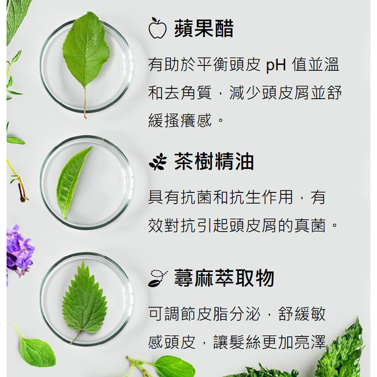 珂諾譜【清爽抗屑】洗髮精 500ml - Dr. Konopka's