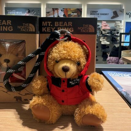 【限時特價】THE NORTH FACE 北臉外套 小熊 鑰匙圈 吊飾 韓國北臉