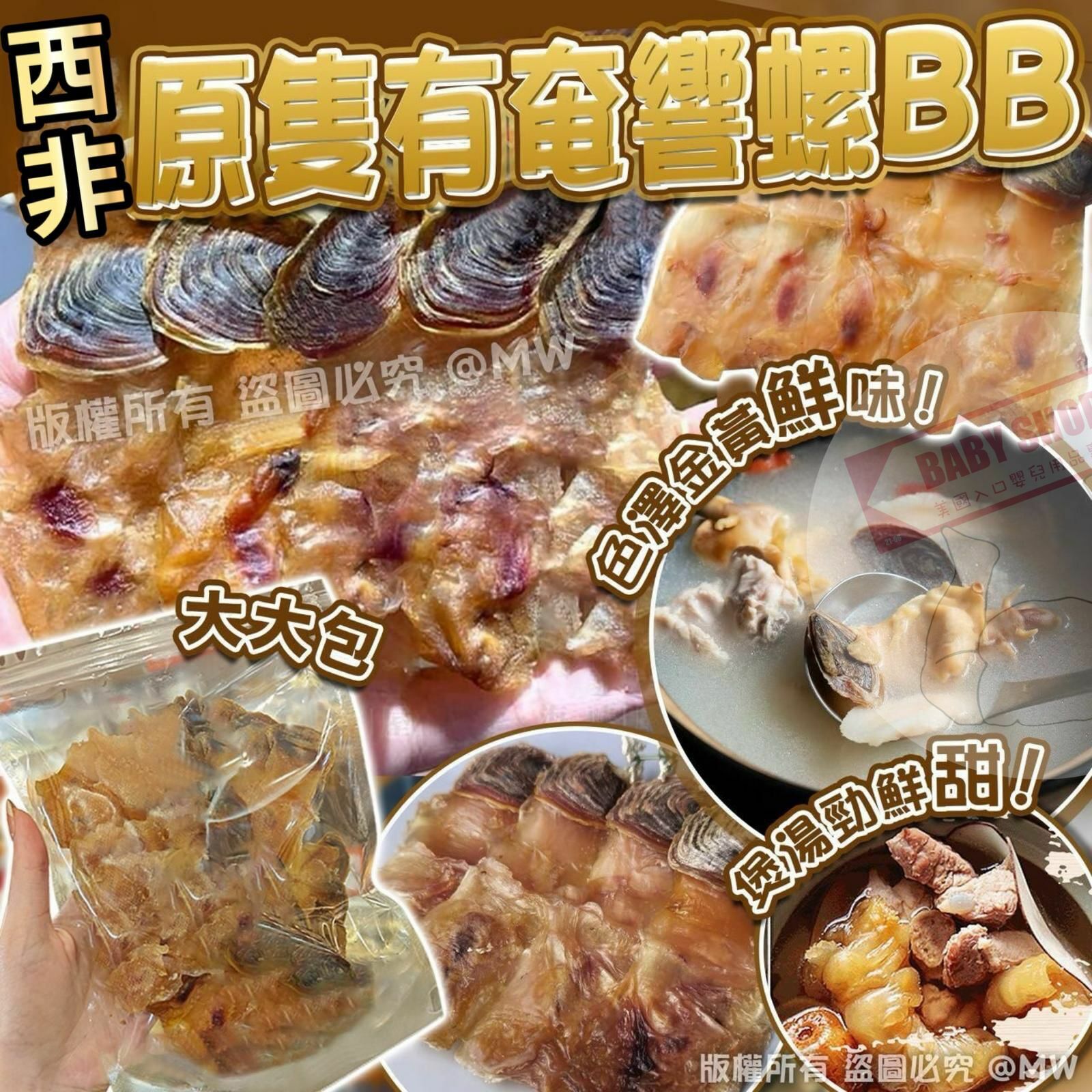 【現貨】AM0102 西非有奄響螺乾 200g