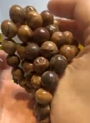 251110 - D14 12mm+黃靈骨龍宮舍利手串