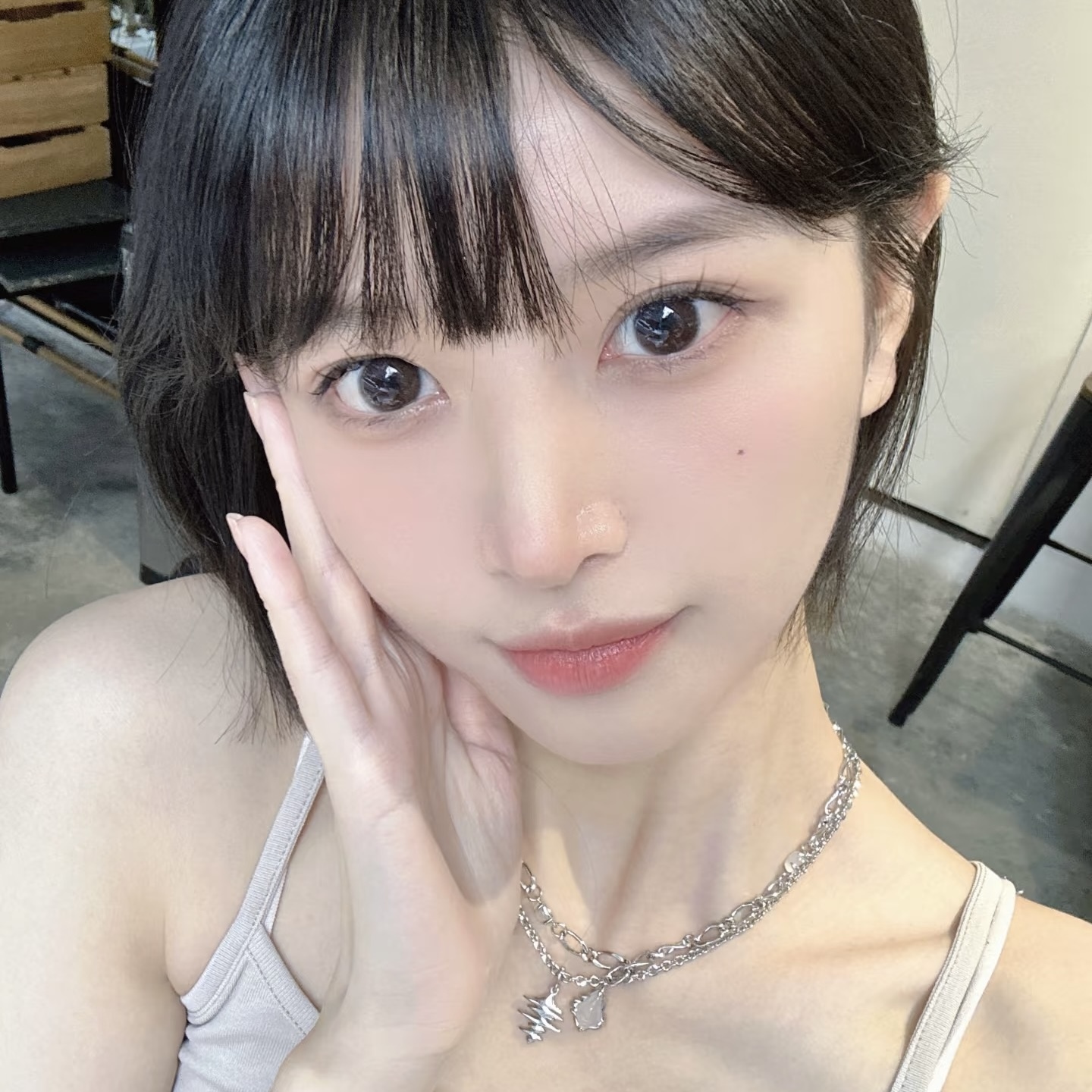 Ticcmay - C15 Choco - 1Year - 1Piece