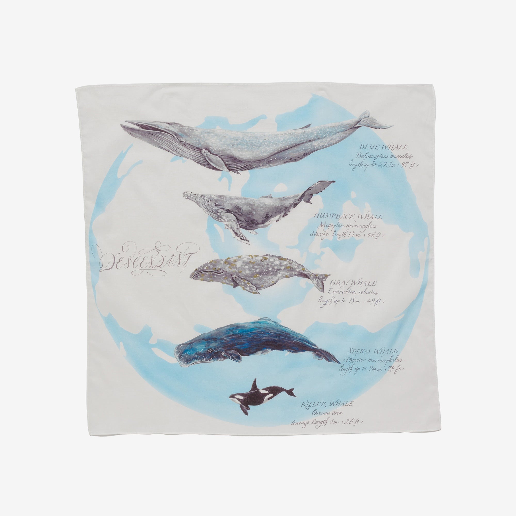 2025SS DESCENDANT SEAFARERS BANDANA 鯨魚 海豚 方巾 頭巾 現貨 251NTDS-AC03