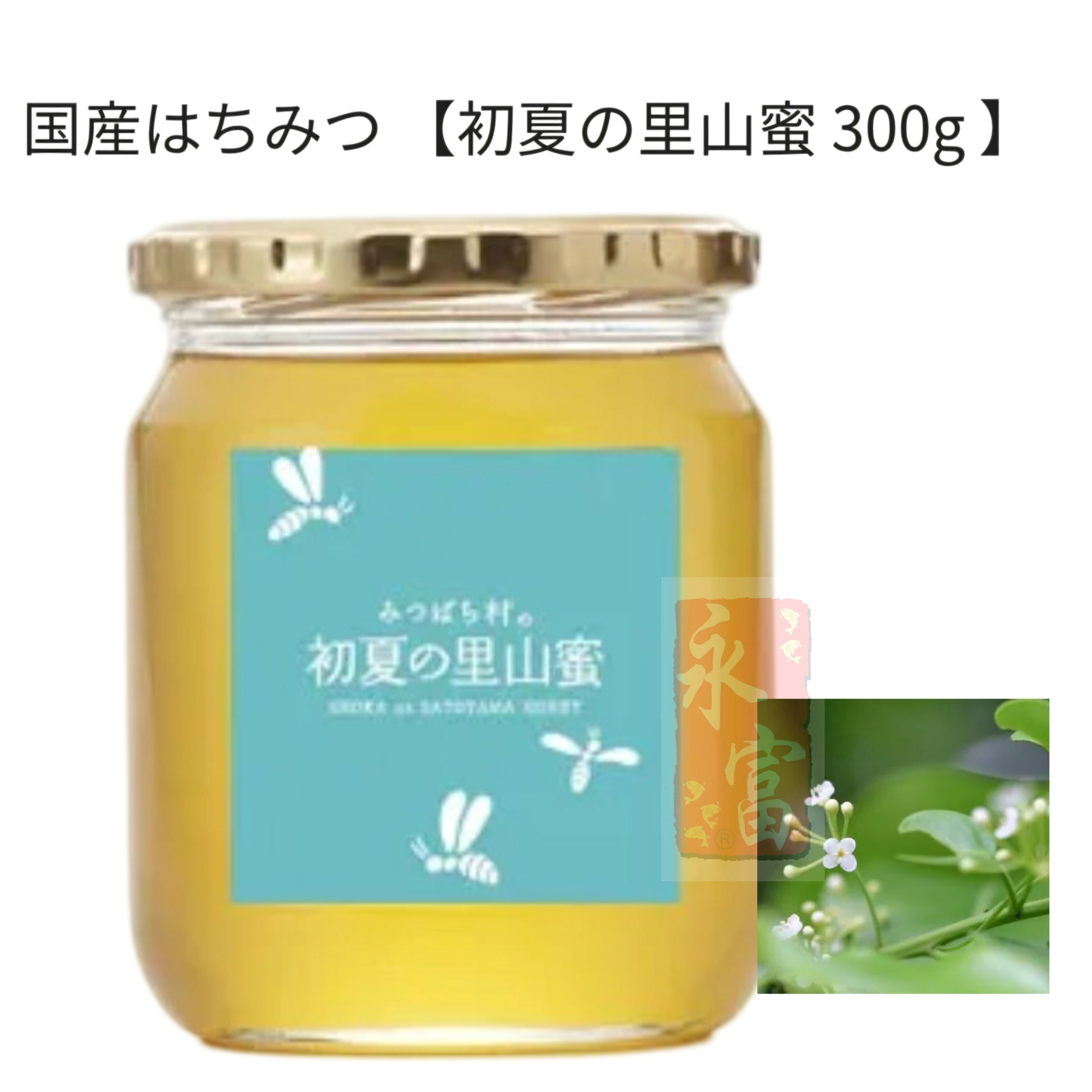 日本初夏の里山蜂蜜