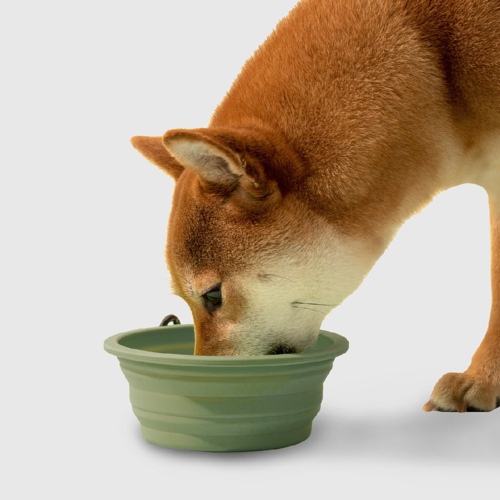 寵物用品｜犬用外出矽膠摺疊碗
