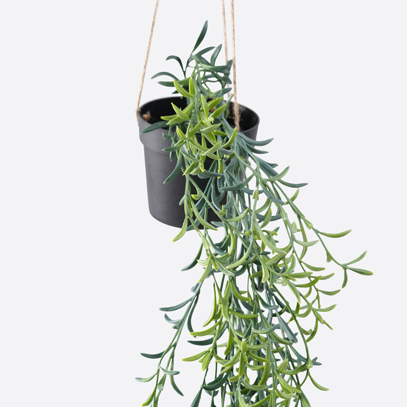 SP 吊掛式仿真裝飾植物/絲葦