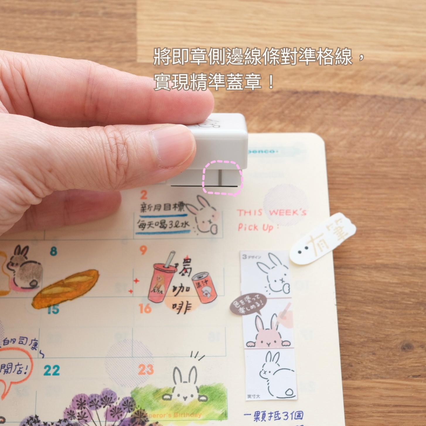 可愛動物三連拍 浸透印章 3入組｜SUN-STAR 日本