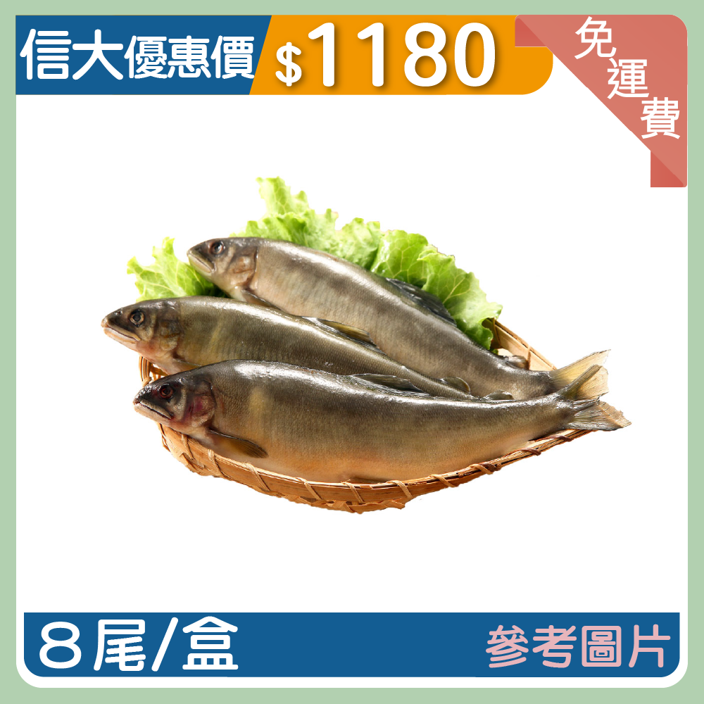 【上億嚴選】宜蘭雪山泉水養殖爆卵母香魚8P/盒