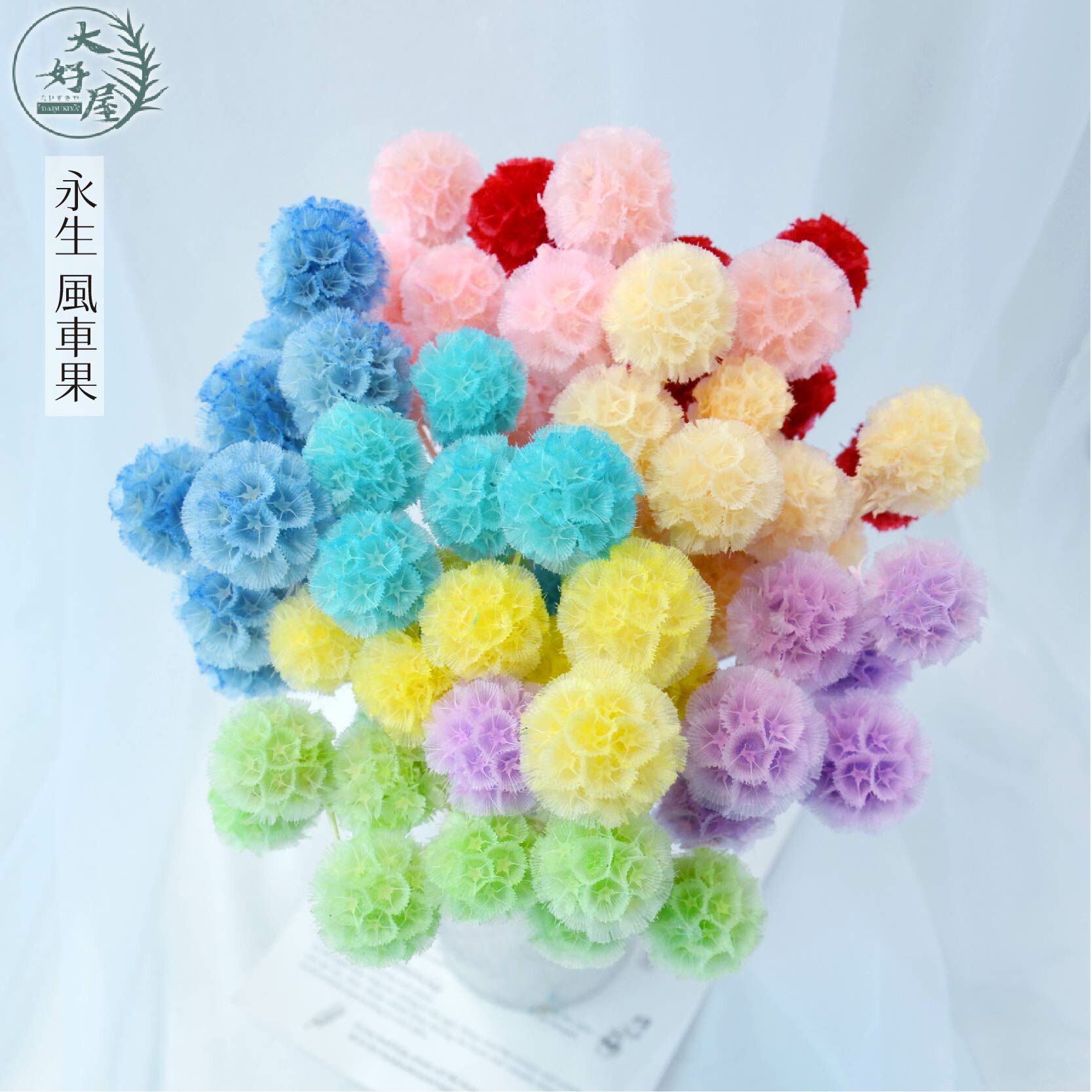 永生風車果【大束裝】