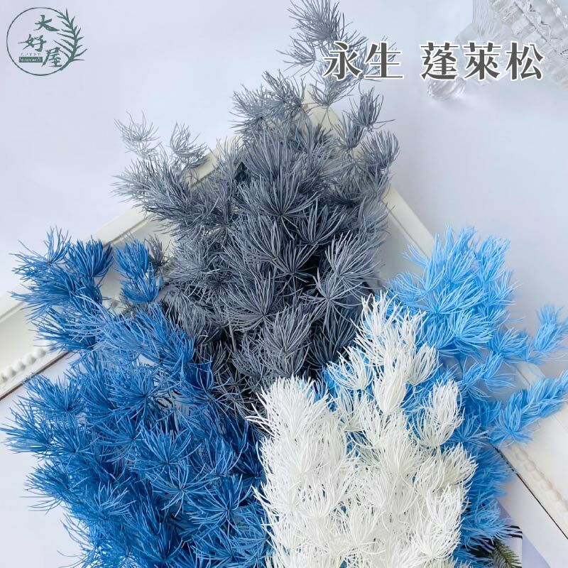 永生蓬萊松【小束裝】