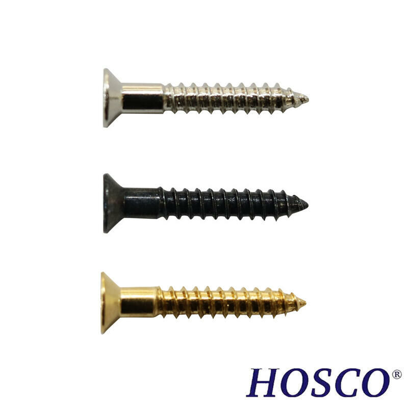 HOSCO PSH09 拾音器邊框 螺絲