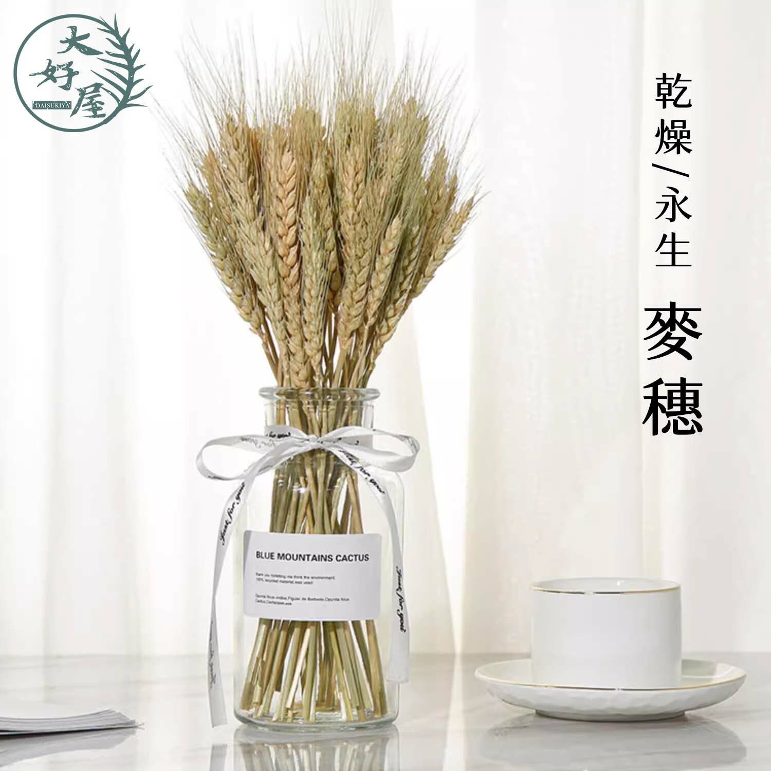 乾燥/永生 麥穗【大束裝】 (麥子)