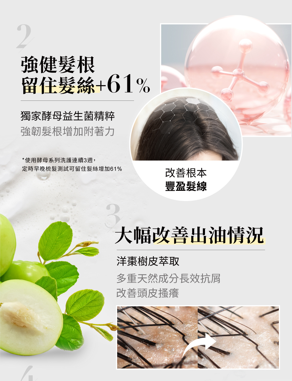 強健髮根留住髮絲，洋棗樹皮萃取改善出油抗屑