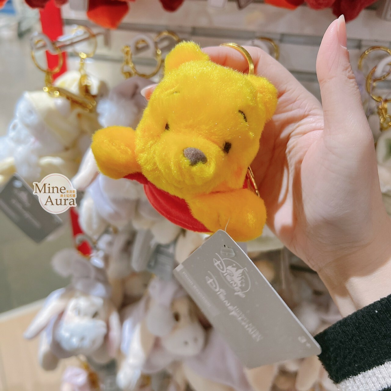 小熊維尼 Winnie the Pooh 趴趴 趴姿 絨毛 鑰匙圈 吊飾 -香港迪士尼樂園