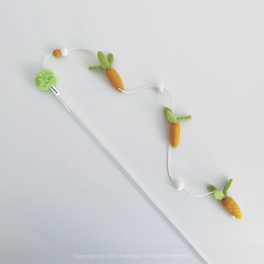 有機小農蘿蔔串