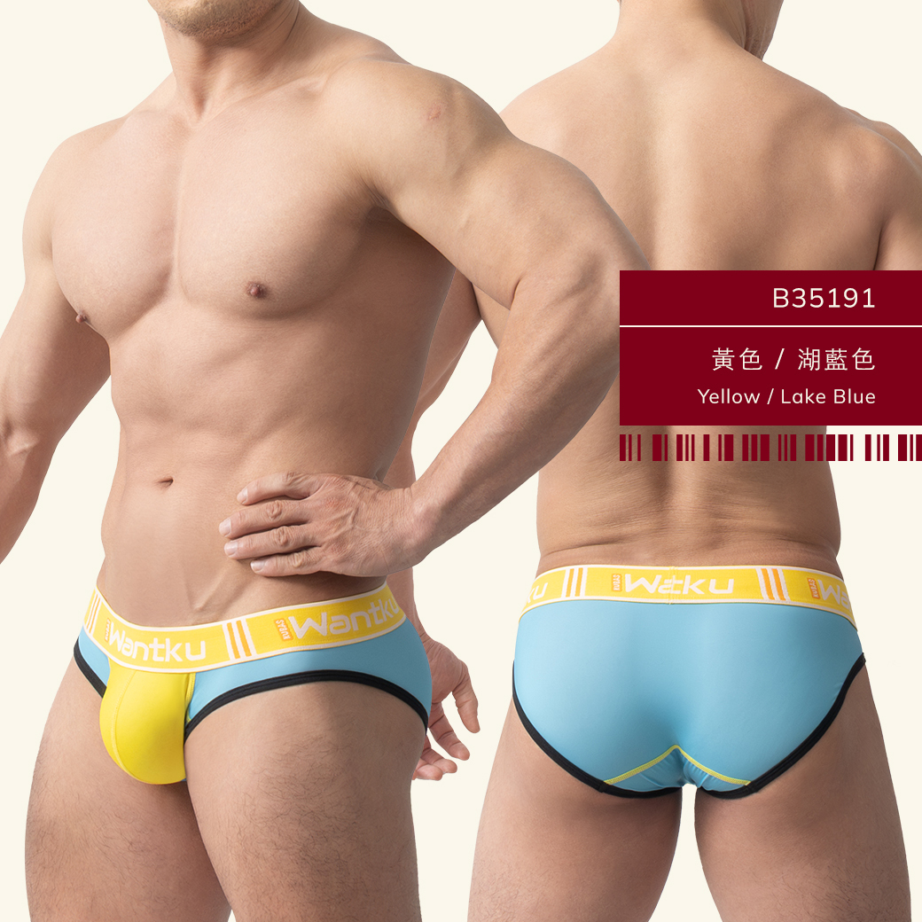 雙色,tdt,運動,三角褲,男內褲,duo-colors,sports,briefs,mens,underwears,b3519