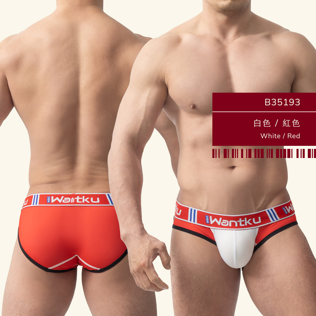 雙色,tdt,運動,三角褲,男內褲,duo-colors,sports,briefs,mens,underwears,b3519