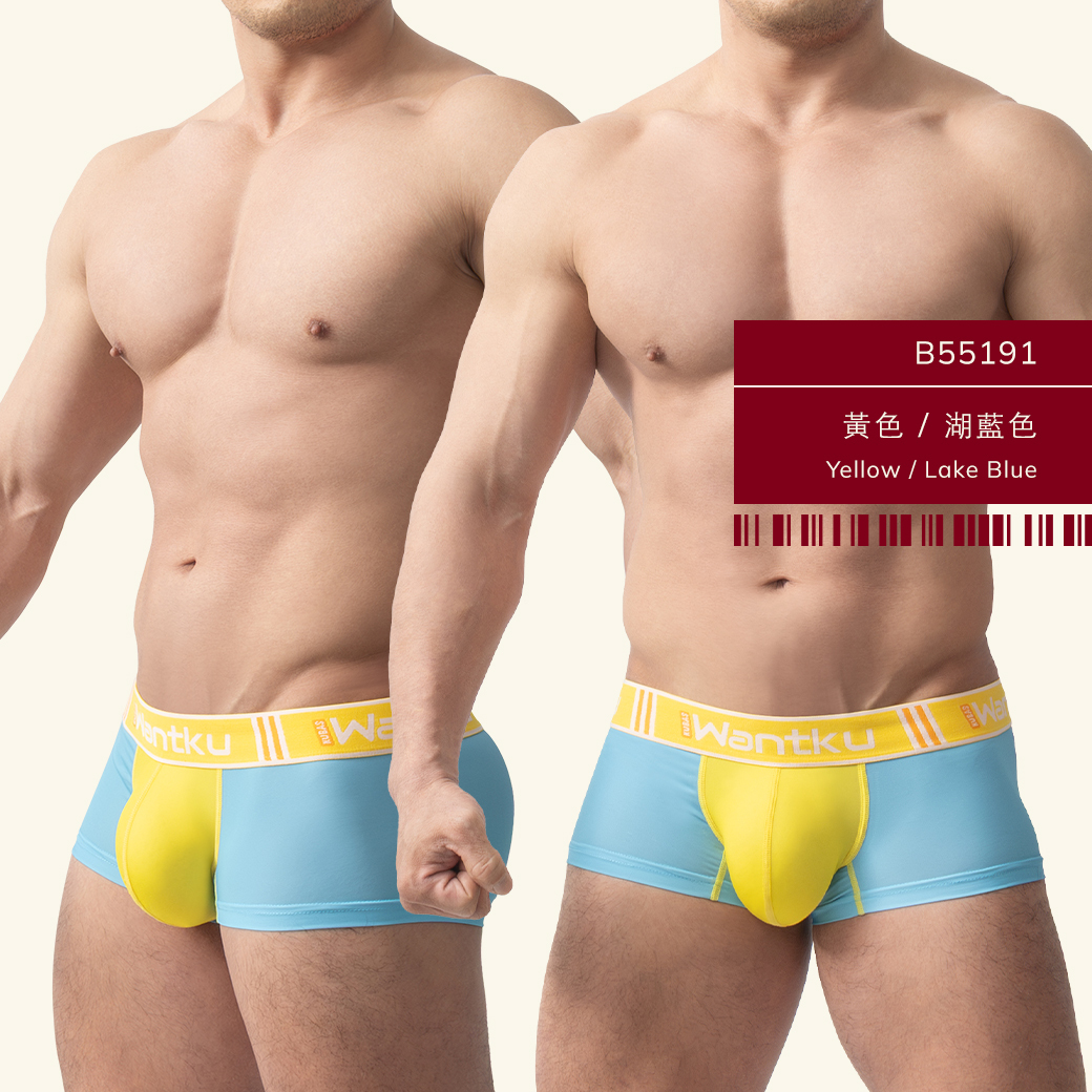雙色,tdt,基本款,四角褲,男內褲,duo-colors,basic styles,boxers,mens,underwears,b5519