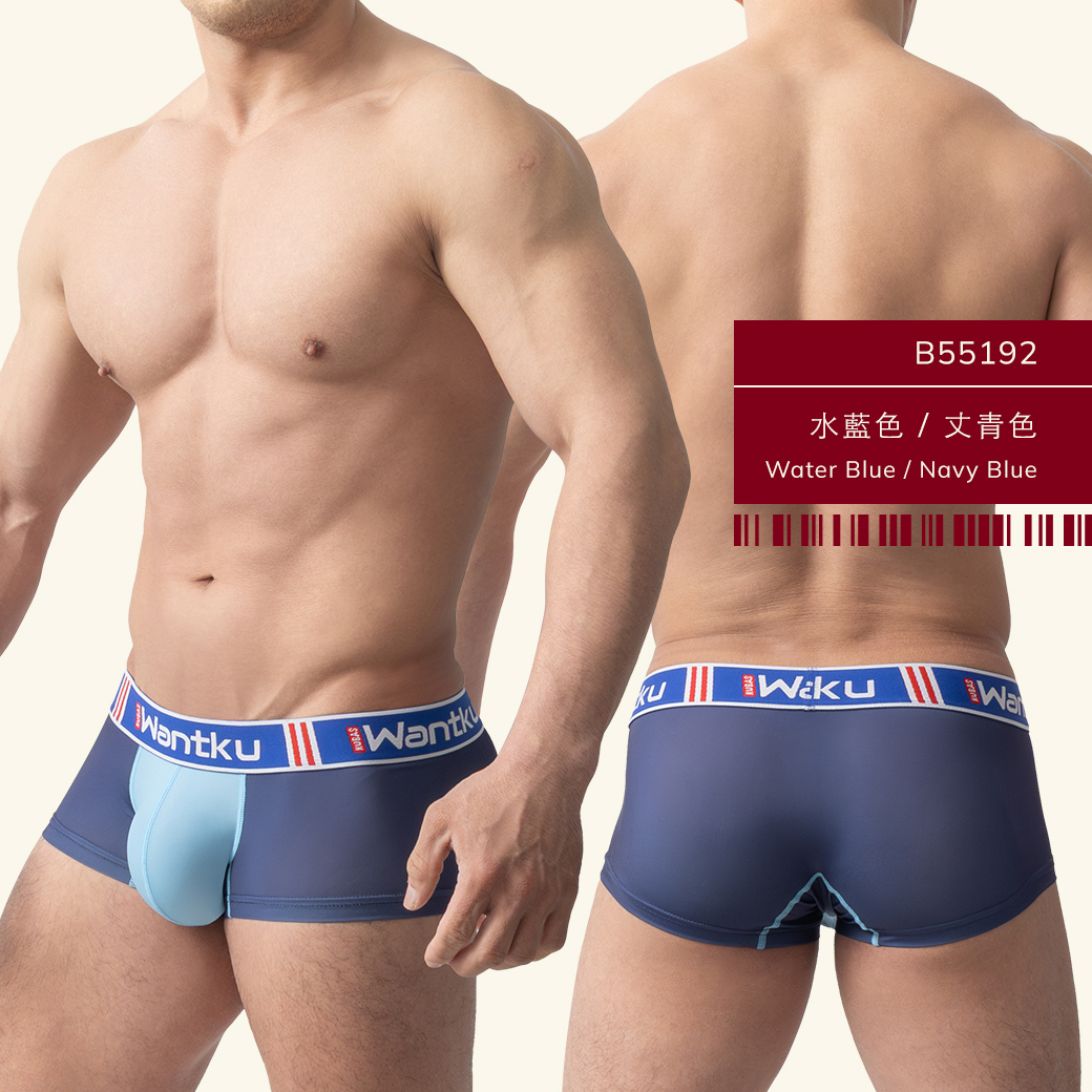 雙色,tdt,基本款,四角褲,男內褲,duo-colors,basic styles,boxers,mens,underwears,b5519