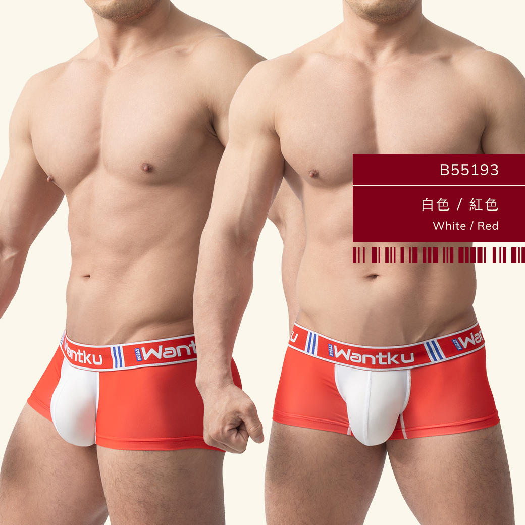 雙色,tdt,基本款,四角褲,男內褲,duo-colors,basic styles,boxers,mens,underwears,b5519