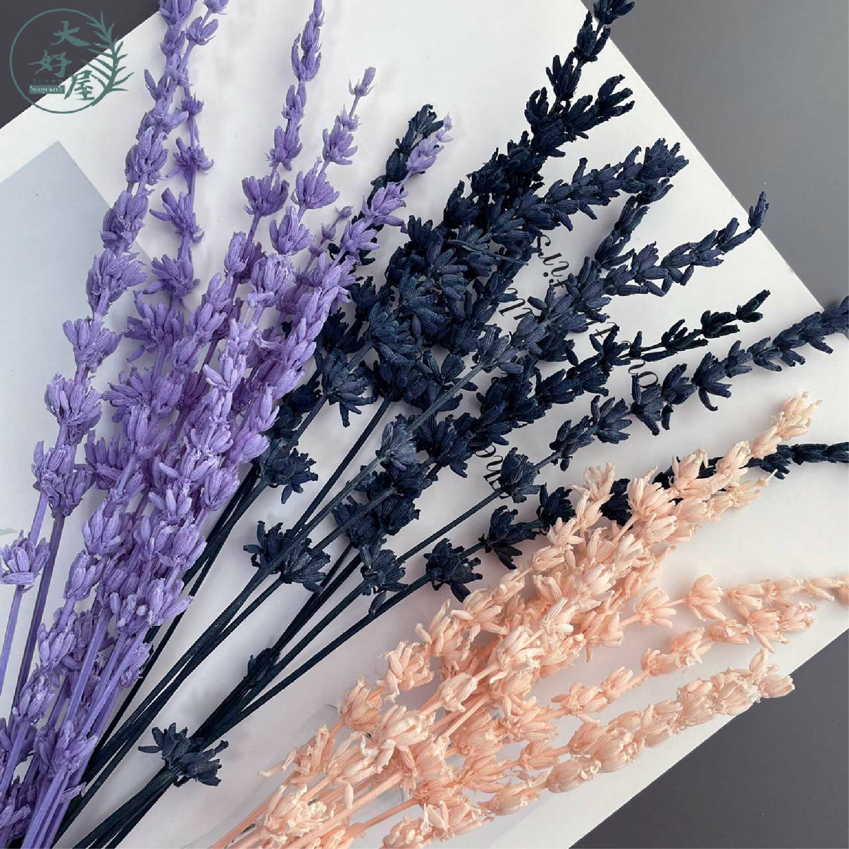 乾燥/永生 薰衣草【小份裝】