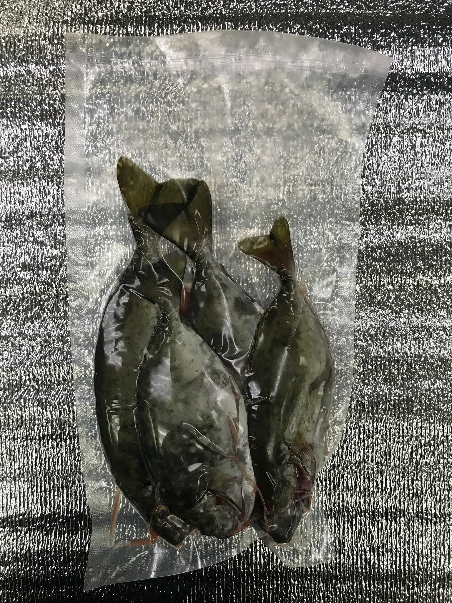 IQF Local Rabbit Fish 600g 3 - 5 fishes