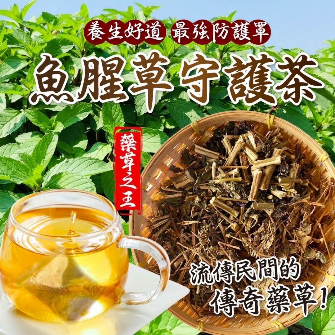 台灣魚腥草守護茶