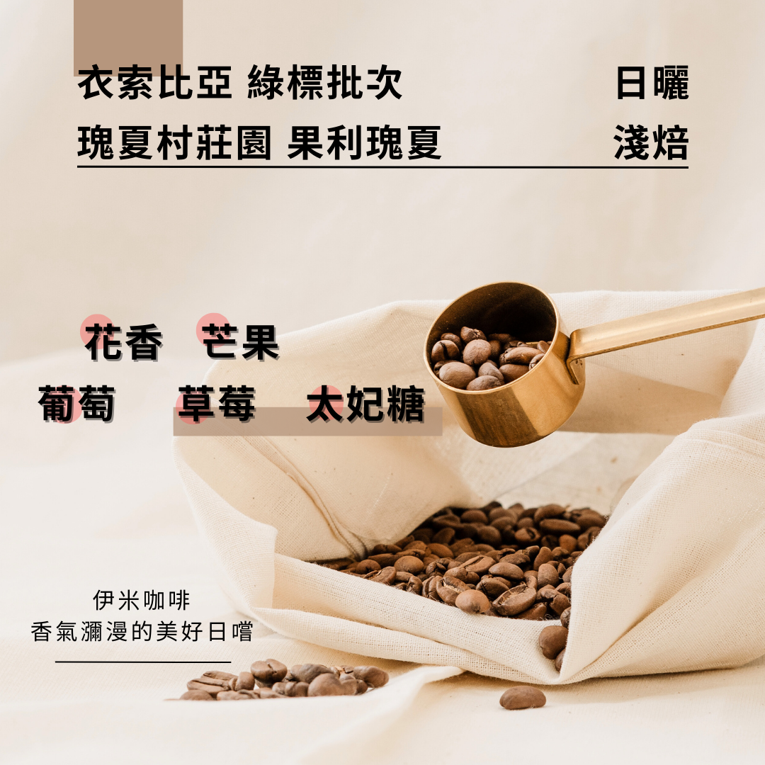衣索比亞 綠標批次 瑰夏村莊園 瑰夏 日曬/半磅