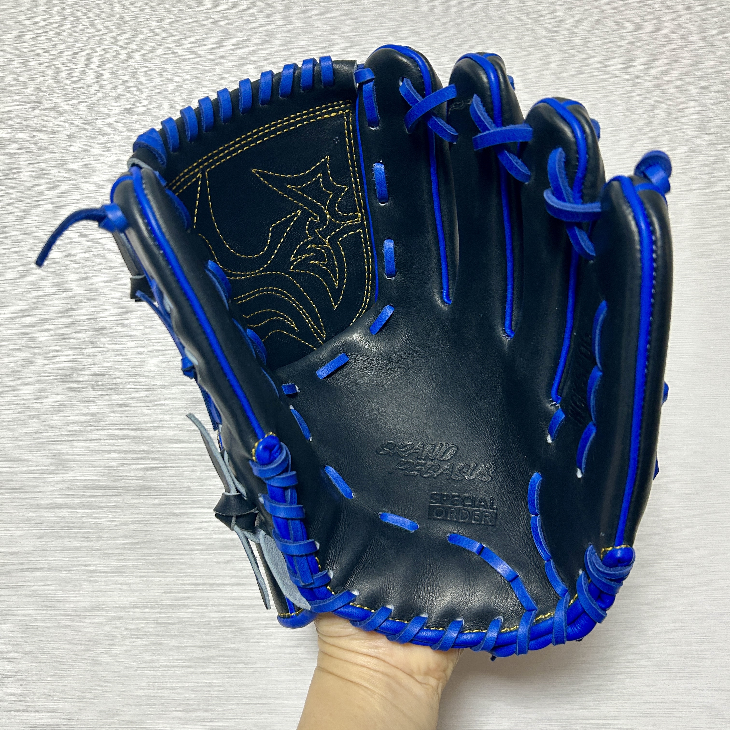 【照片分享】WorldPegasus 獨角獸 硬式投手 WGKGP13