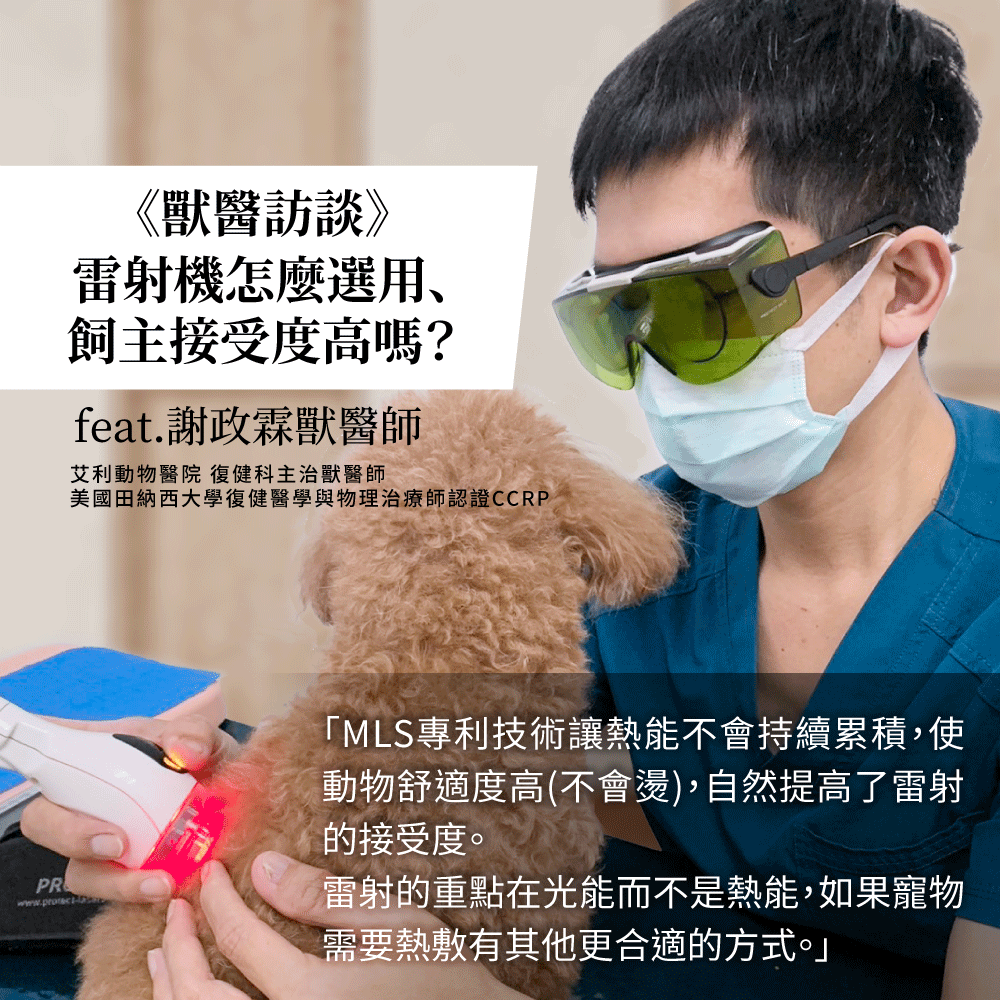 MLS雷射 獸醫心得