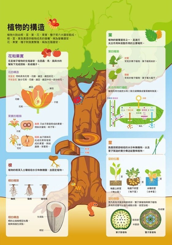 漫畫大英百科【生物地科11】：植物