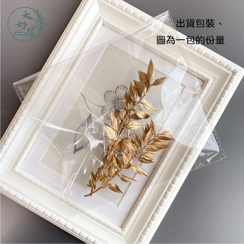 永生富貴葉【小份裝】