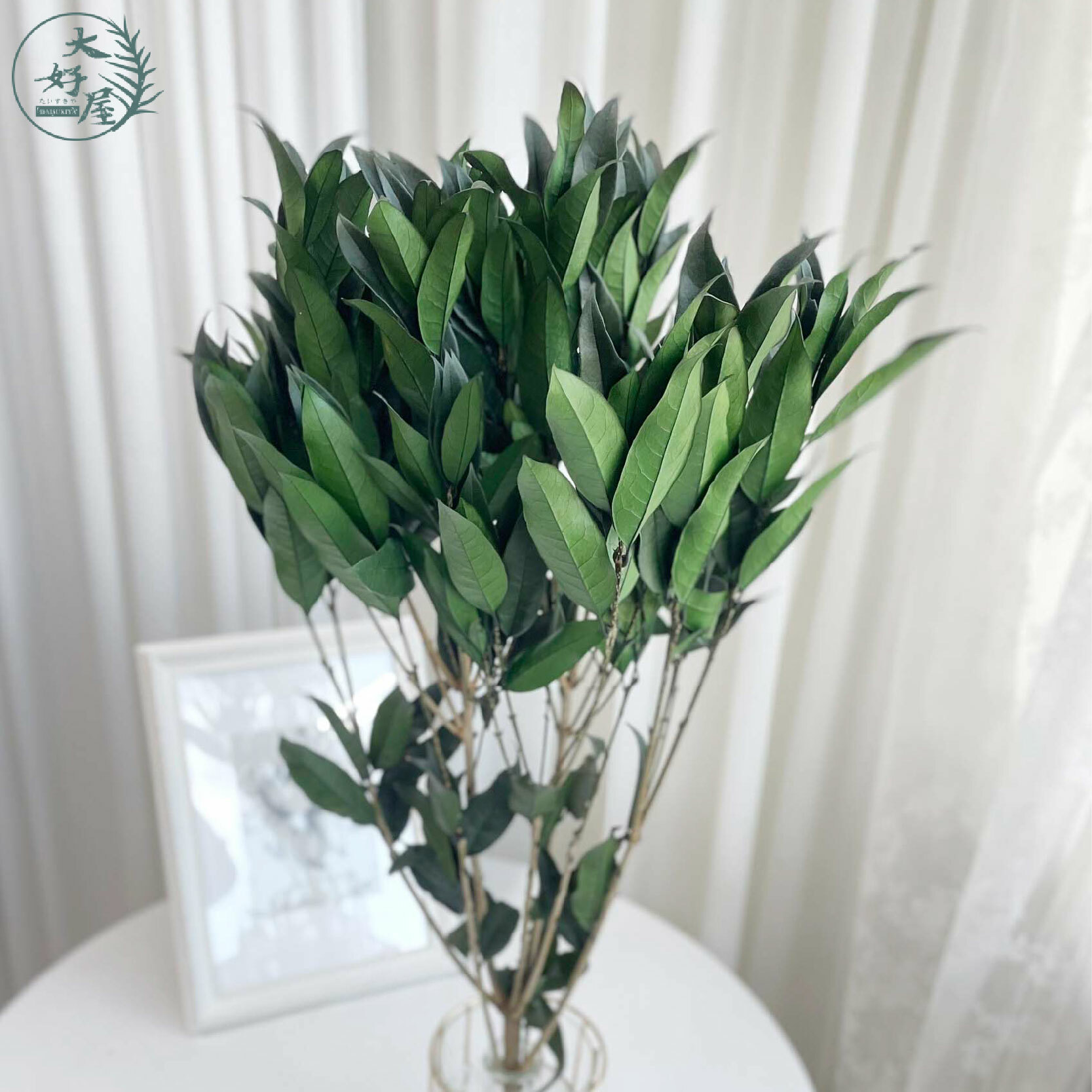 永生桂花葉【大束裝】