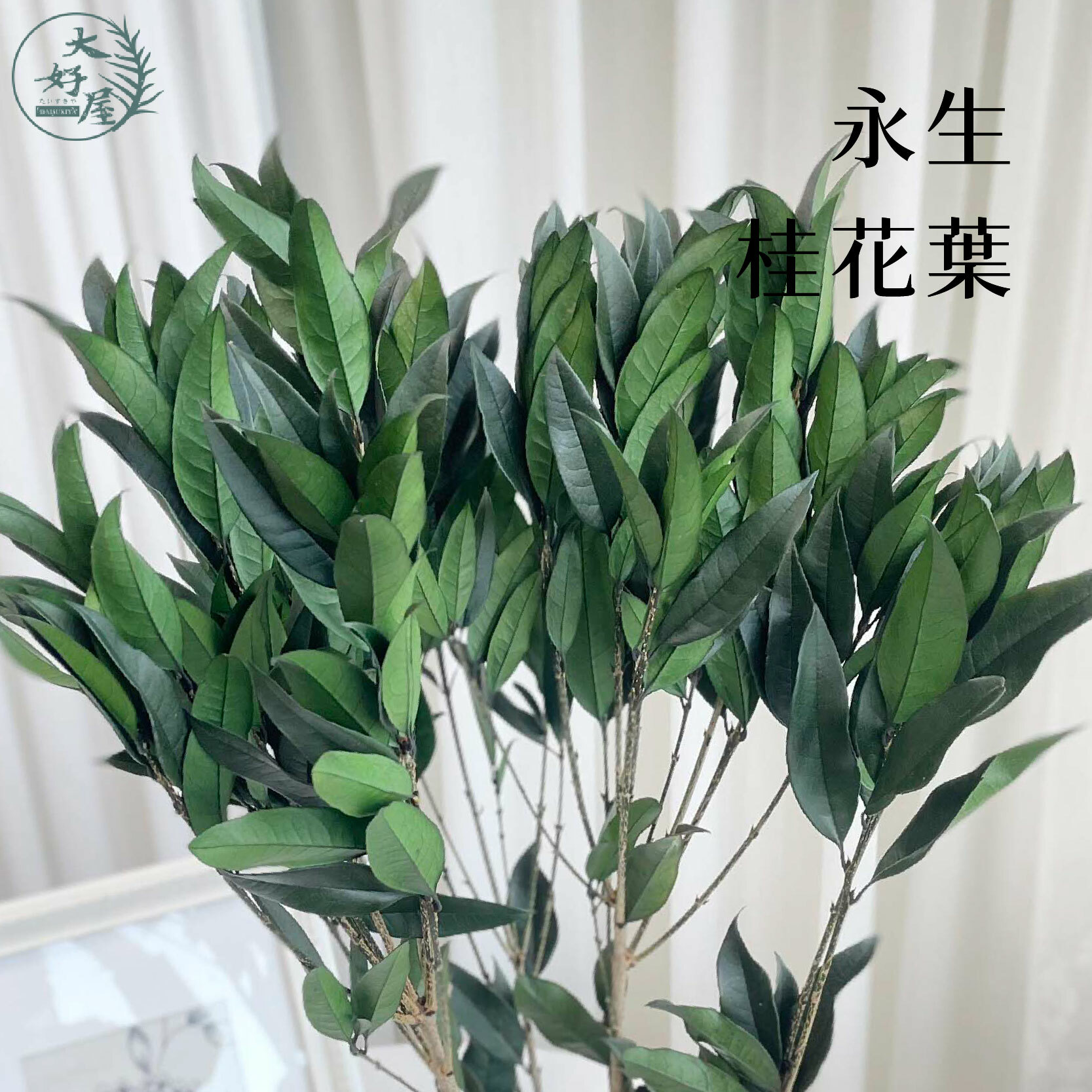 永生桂花葉【大束裝】
