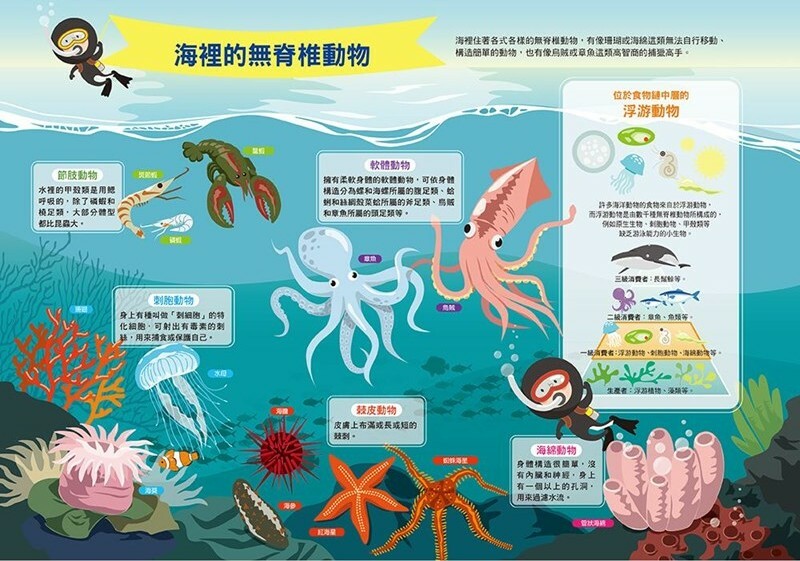 漫畫大英百科【生物地科14】：無脊椎動物