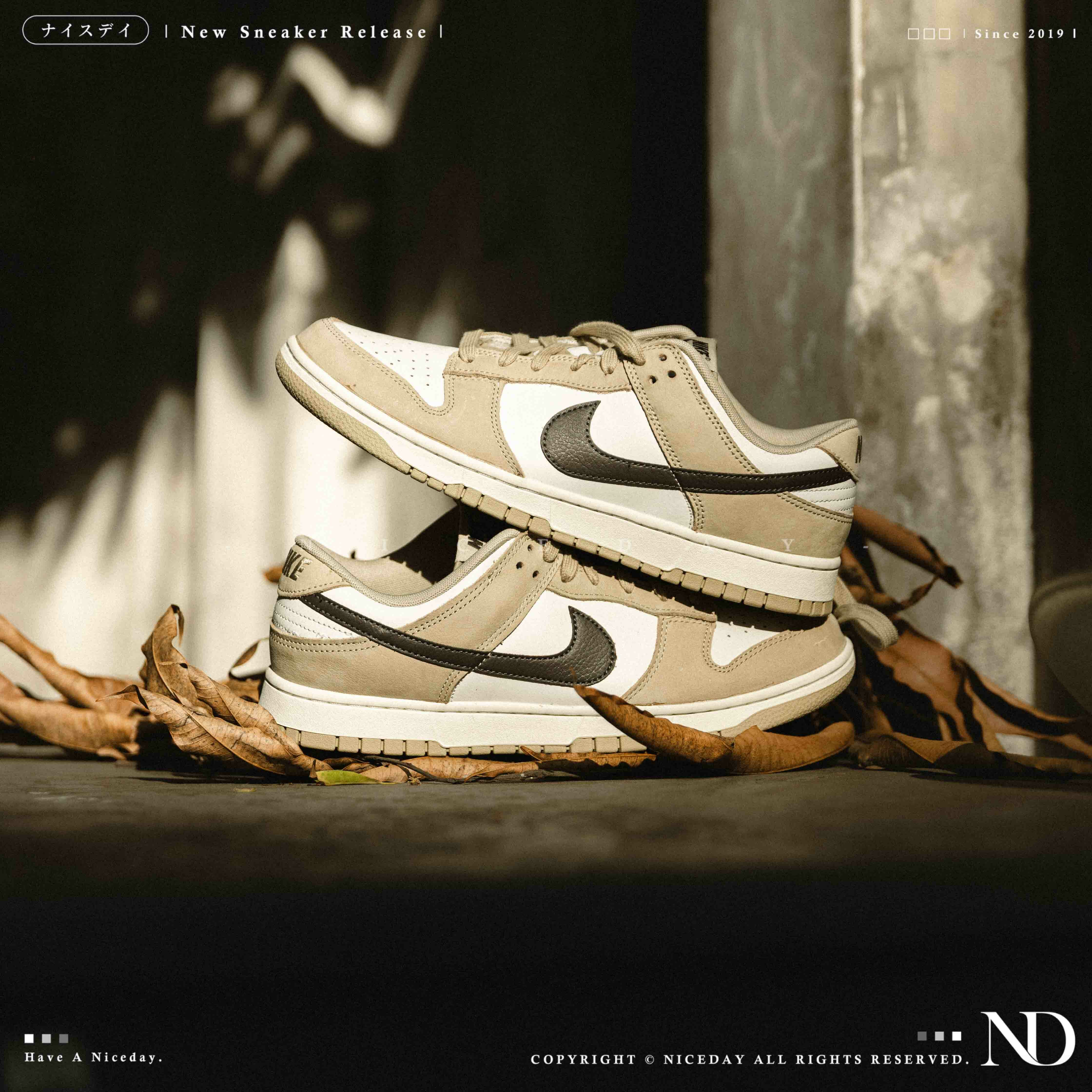 NICEDAY 現貨 Nike Dunk Low 奶茶 卡其 絨面 男款 IB3079-200