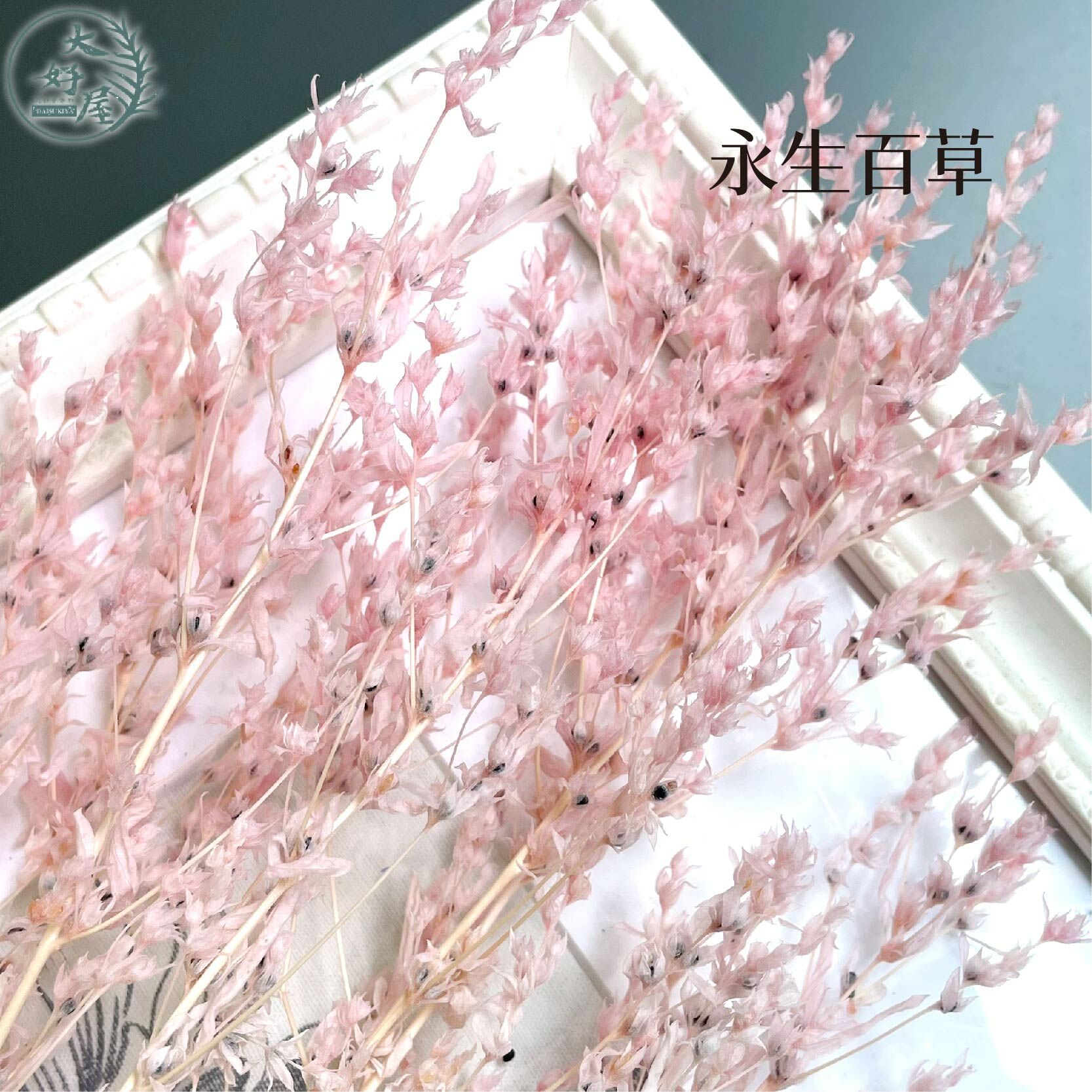 永生百草 【大束裝】